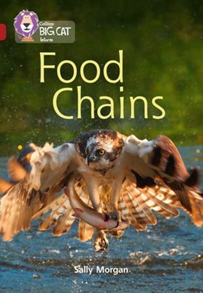 Food Chains: Band 14/Ruby (Collins Big Cat), Sally Morgan ; Collins Big Cat - Ebook - 9780008425272