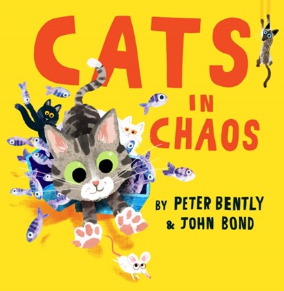 Cats in Chaos, Peter Bently - Paperback - 9780008469184