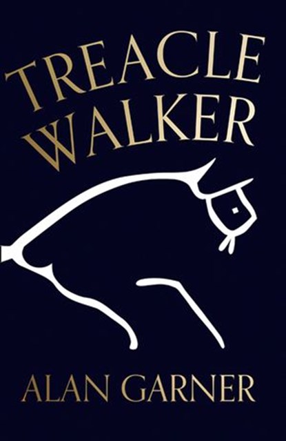 Treacle Walker, Alan Garner - Ebook - 9780008477813
