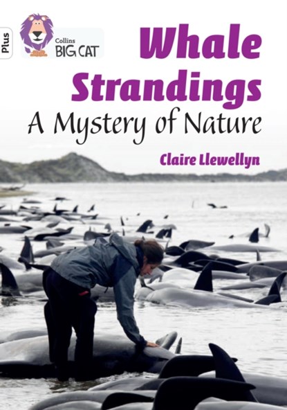 Whale Strandings: A Mystery of Nature, Claire Llewellyn - Paperback - 9780008485573