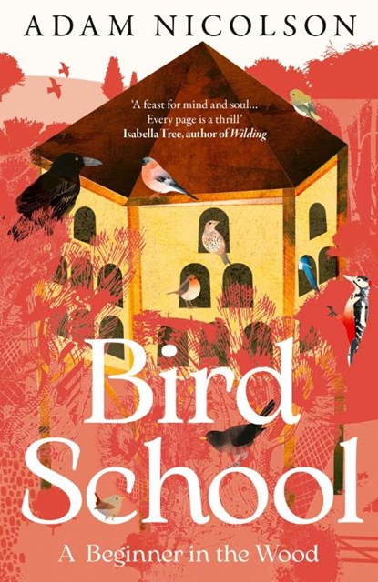 Bird School, Adam Nicolson - Paperback - 9780008490874