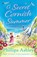A Secret Cornish Summer, Phillipa Ashley - Paperback - 9780008494353