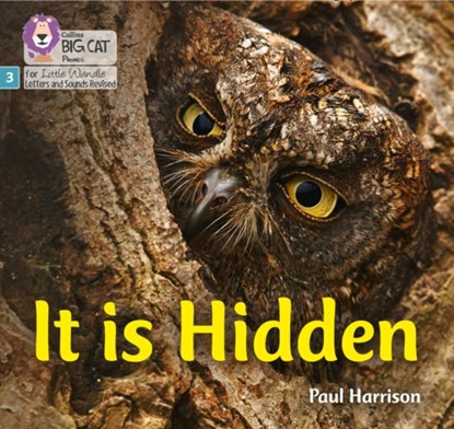 It is Hidden, Paul Harrison - Paperback - 9780008502409