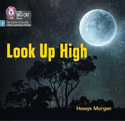 Look Up High, Hawys Morgan - Paperback - 9780008540722