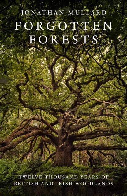 Forgotten Forests, Jonathan Mullard - Gebonden - 9780008561048