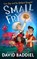 Small Fry, David Baddiel - Paperback - 9780008621988