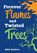 Forever Flames and Twisted Trees, Abbie Rushton - Paperback - 9780008681159