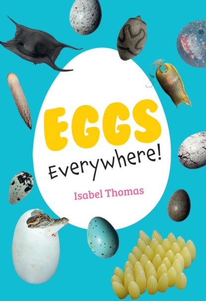 Eggs Everywhere!, Isabel Thomas - Paperback - 9780008681166