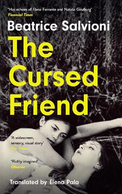 The Cursed Friend, Beatrice Salvioni - Paperback - 9780008694722