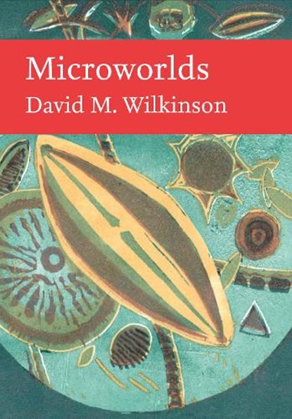 Microworlds, David Wilkinson - Gebonden - 9780008717582