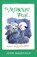 The Midnight Folk, John Masefield - Paperback - 9780008772864