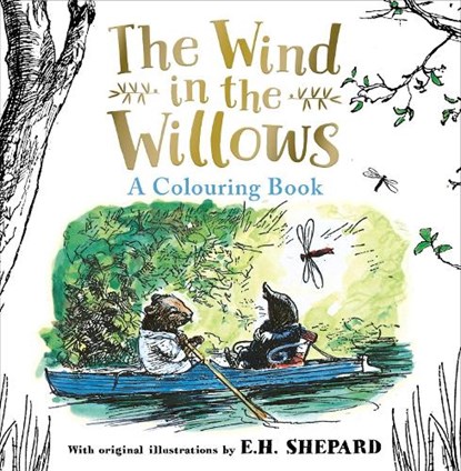 Wind in the Willows Colouring Book, Kenneth Grahame - Paperback - 9780008821968