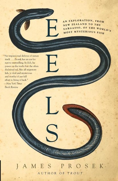 Eels, James Prosek - Paperback - 9780060566128