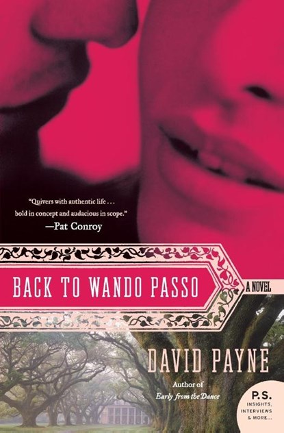 Back to Wando Passo, David Payne - Paperback - 9780060851903