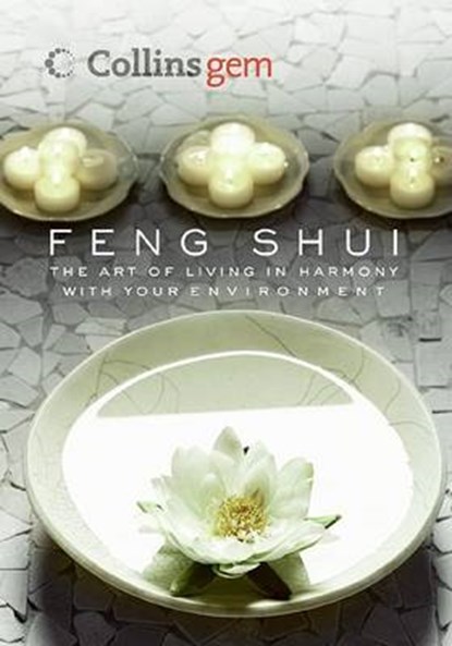 Feng Shui, CRAZE,  Richard - Paperback - 9780060896898