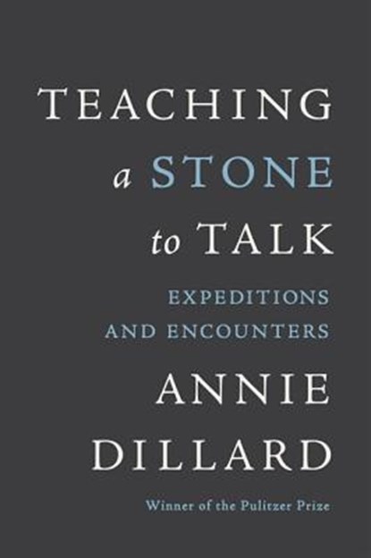 Teaching a Stone to Talk, Annie Dillard - Paperback - 9780060915414