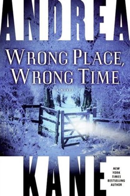 Wrong Place, Wrong Time, Andrea Kane - Ebook - 9780061841170