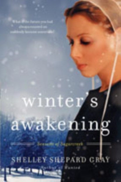 Winter's Awakening, Shelley Shepard Gray - Paperback - 9780061852220