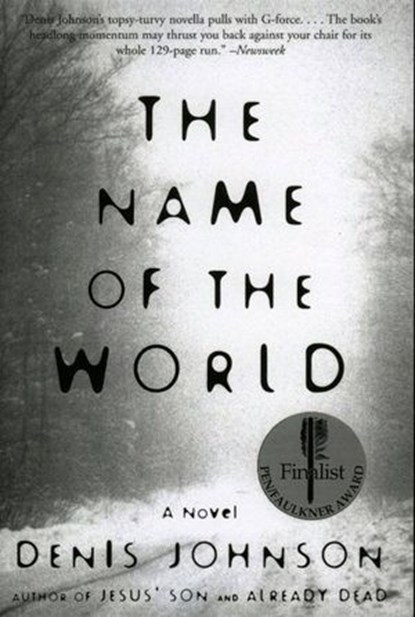 The Name of the World, Denis Johnson - Ebook - 9780061869396