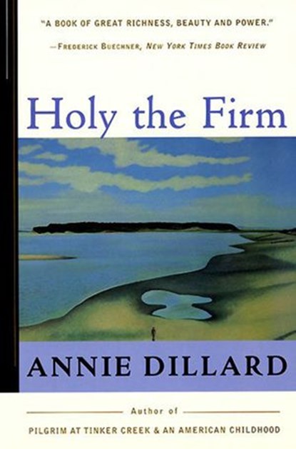 Holy the Firm, Annie Dillard - Ebook - 9780061871658