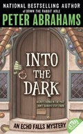 Into the Dark | Peter Abrahams | 