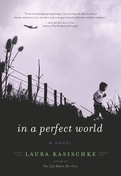 In a Perfect World, Laura Kasischke - Ebook - 9780061941825
