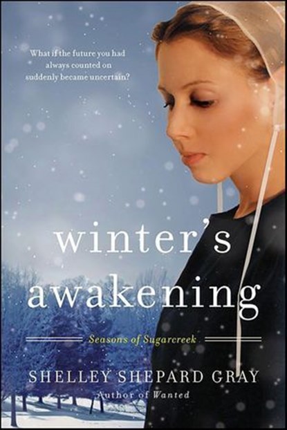 Winter's Awakening, Shelley Shepard Gray - Ebook - 9780061968266