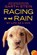 Racing in the Rain, Garth Stein - Paperback - 9780062015761