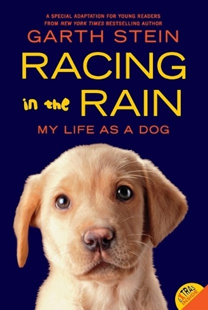 Racing in the Rain, Garth Stein - Paperback - 9780062015761