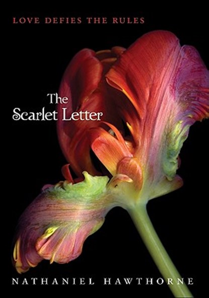The Scarlet Letter, Nathaniel Hawthorne - Paperback - 9780062066022