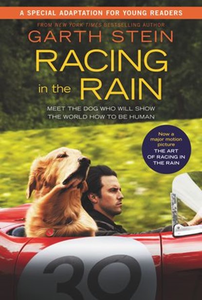 Racing in the Rain, Garth Stein - Ebook - 9780062077172