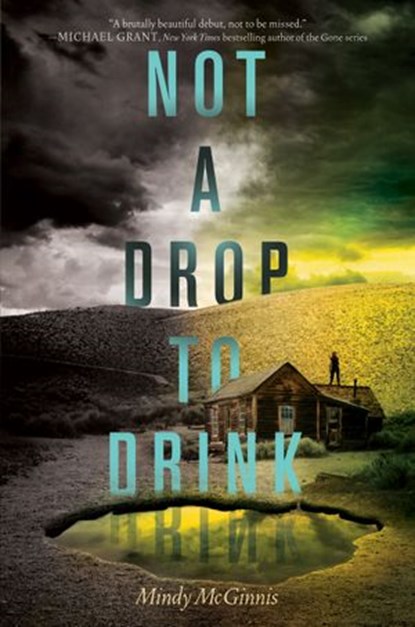 Not a Drop to Drink, Mindy McGinnis - Ebook - 9780062198525