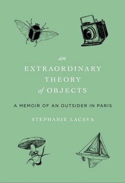 An Extraordinary Theory of Objects, Stephanie LaCava - Ebook - 9780062223661