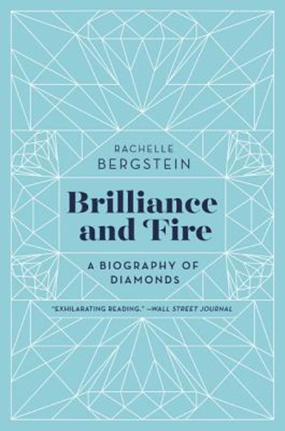 Brilliance and Fire, Rachelle Bergstein - Paperback - 9780062323781