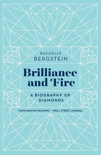 Brilliance and Fire, Rachelle Bergstein - Paperback - 9780062323781