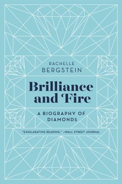 Brilliance and Fire, Rachelle Bergstein - Ebook - 9780062323798