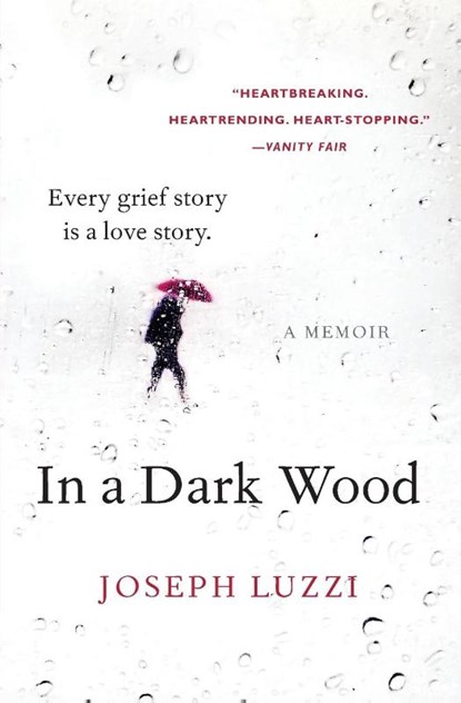 In a Dark Wood, Joseph Luzzi - Paperback - 9780062357526