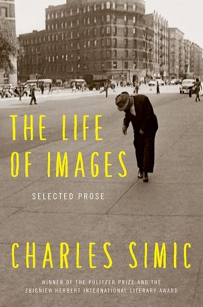 The Life of Images, Charles Simic - Ebook - 9780062364722