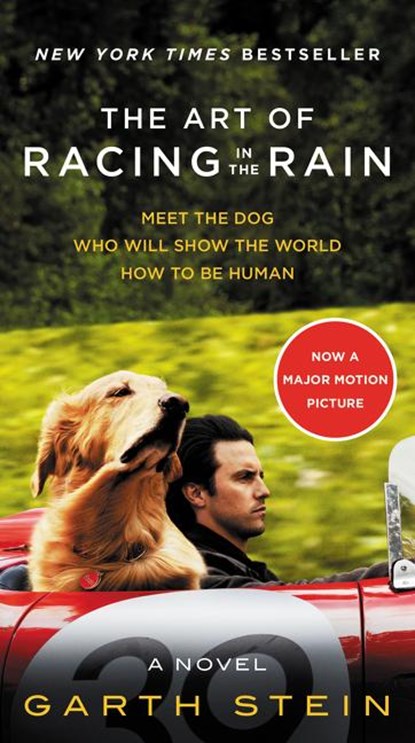 The Art of Racing in the Rain Movie Tie-in Edition, Garth Stein - Paperback - 9780062370945