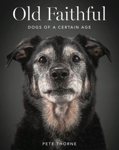 Old Faithful, Pete Thorne - Ebook - 9780062413468