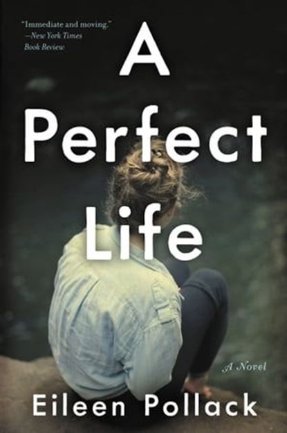 A Perfect Life, Eileen Pollack - Ebook - 9780062419200