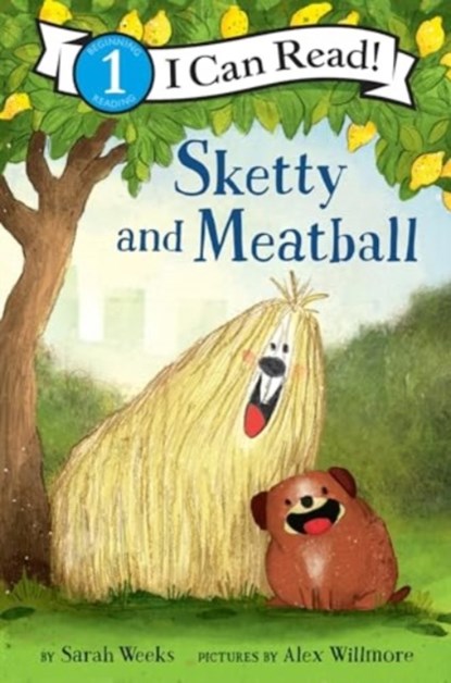 Sketty and Meatball, Sarah Weeks - Paperback - 9780062431615