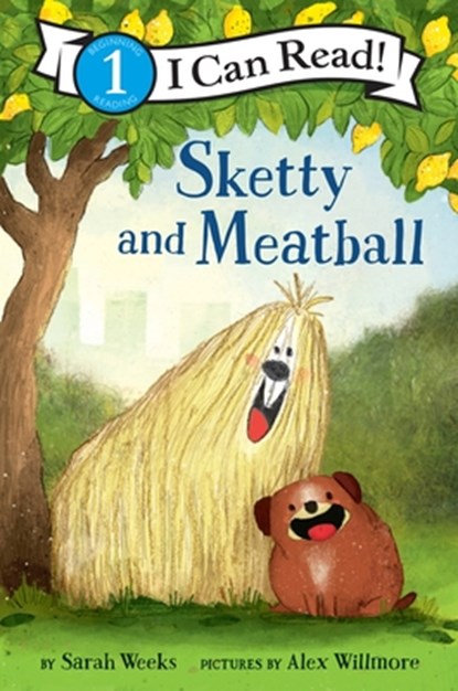 Sketty and Meatball, Sarah Weeks - Gebonden - 9780062431622