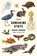 Sunshine State, Sarah Gerard - Paperback - 9780062434876