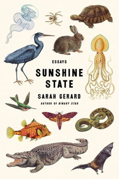 Sunshine State, Sarah Gerard - Ebook - 9780062434883