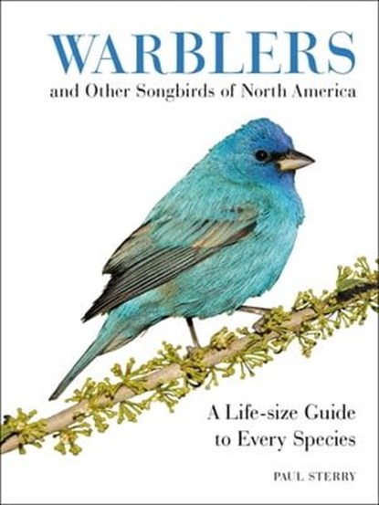 Warblers and Other Songbirds of North America, Paul Sterry - Ebook - 9780062446831
