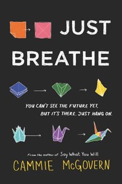 Just Breathe, Cammie McGovern - Paperback - 9780062463364