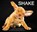 Shake, DAVIDSON,  Carli - Paperback - 9780062497642