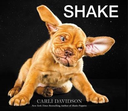 Shake, DAVIDSON,  Carli - Paperback - 9780062497642