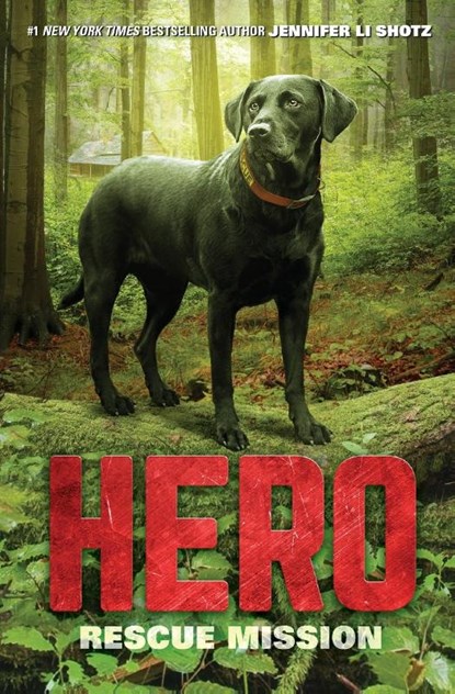 Hero: Rescue Mission, Jennifer Li Shotz - Paperback - 9780062560452